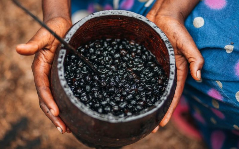 Exposição na Lapa combina arte, culinária e sustentabilidade a partir de 27 de maio