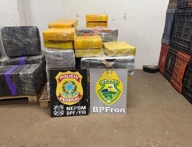 Mais de 500 quilos de maconha são descobertos em floresta de Foz do Iguaçu