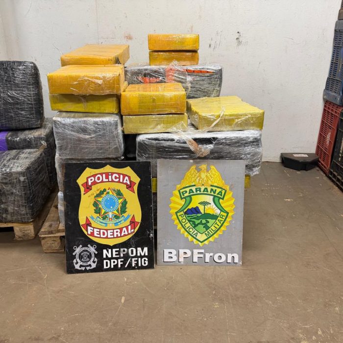 Mais de 500 quilos de maconha são descobertos em floresta de Foz do Iguaçu
