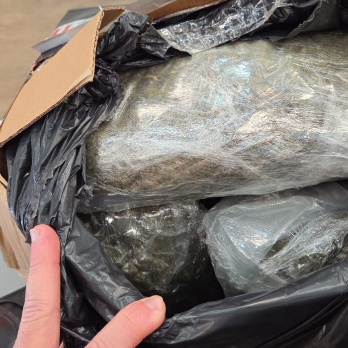 Operação revela 33,5 kg de entorpecentes escondidos em pacotes de marketplace em Cascavel