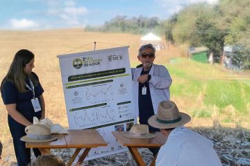 Cultivo Sustentável: ‘Vida Invisível’ Aumenta Produtividade e Reduz Custos com Fertilizantes