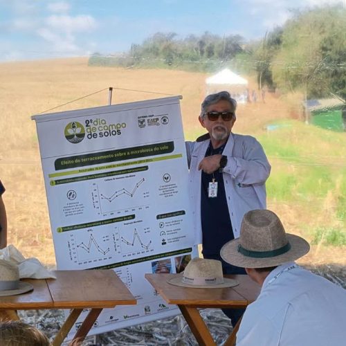 Cultivo Sustentável: ‘Vida Invisível’ Aumenta Produtividade e Reduz Custos com Fertilizantes