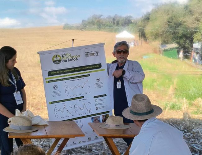 Cultivo Sustentável: ‘Vida Invisível’ Aumenta Produtividade e Reduz Custos com Fertilizantes