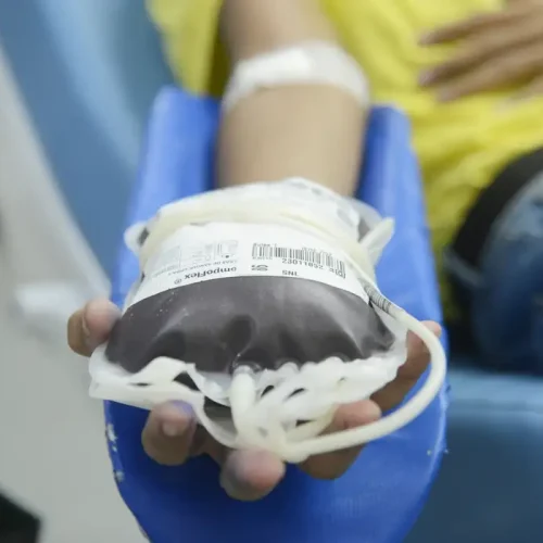 Nova normativa permite que indivíduos acima de 70 anos doem sangue